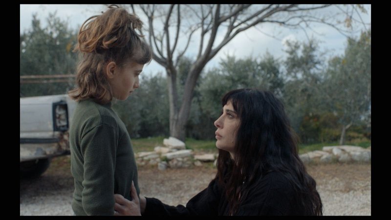 fre_20230824_15260743