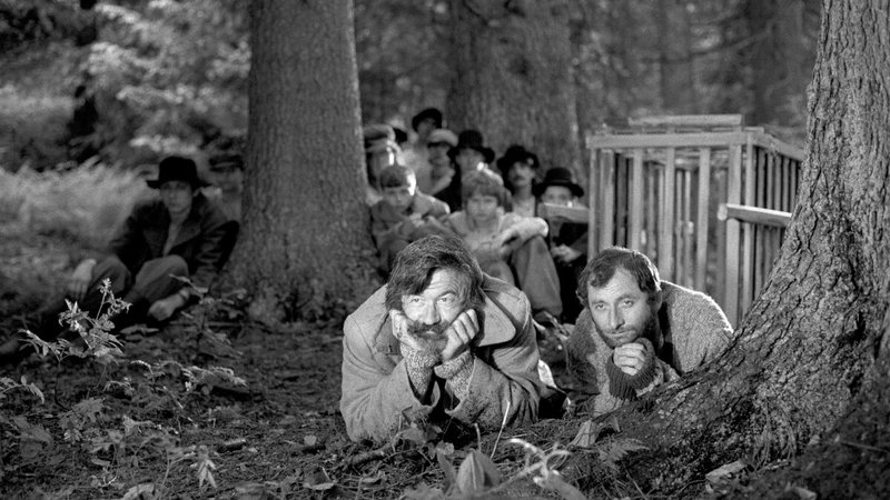 fre_20230824_100429921